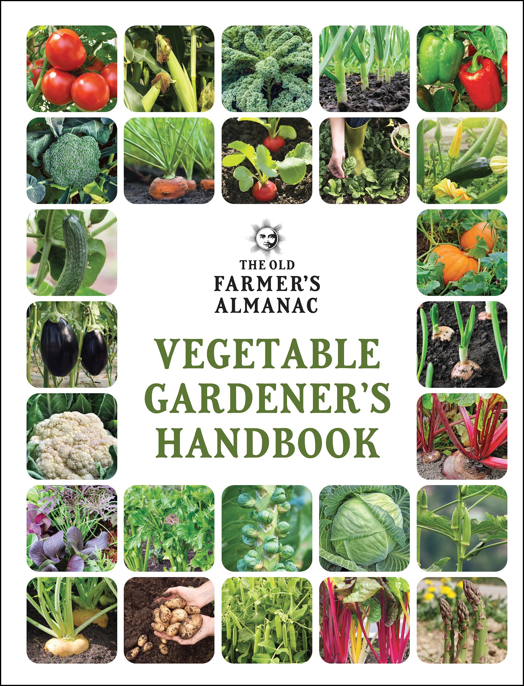 1 Best Botany Handbooks