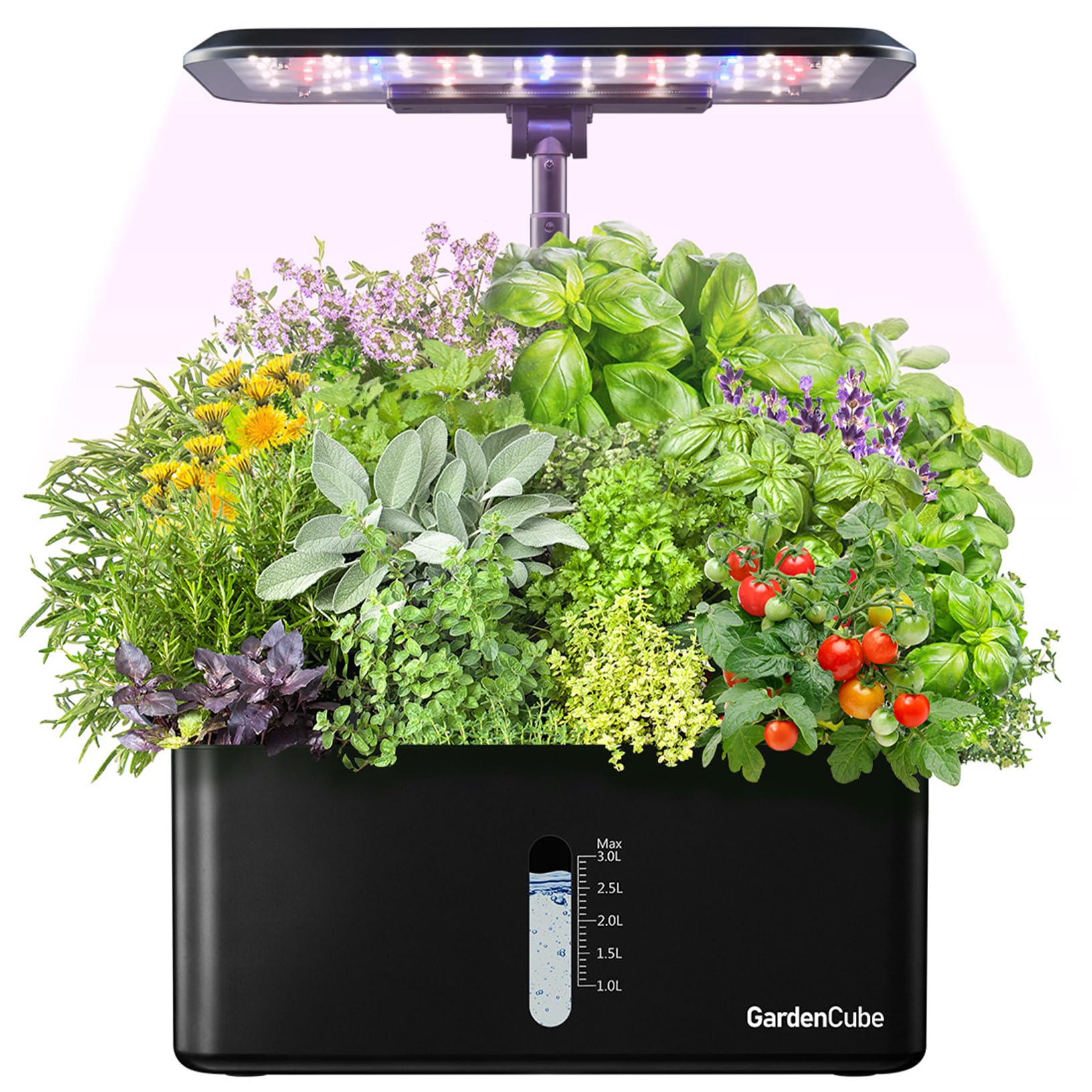 1 Best Plant Growing Kits