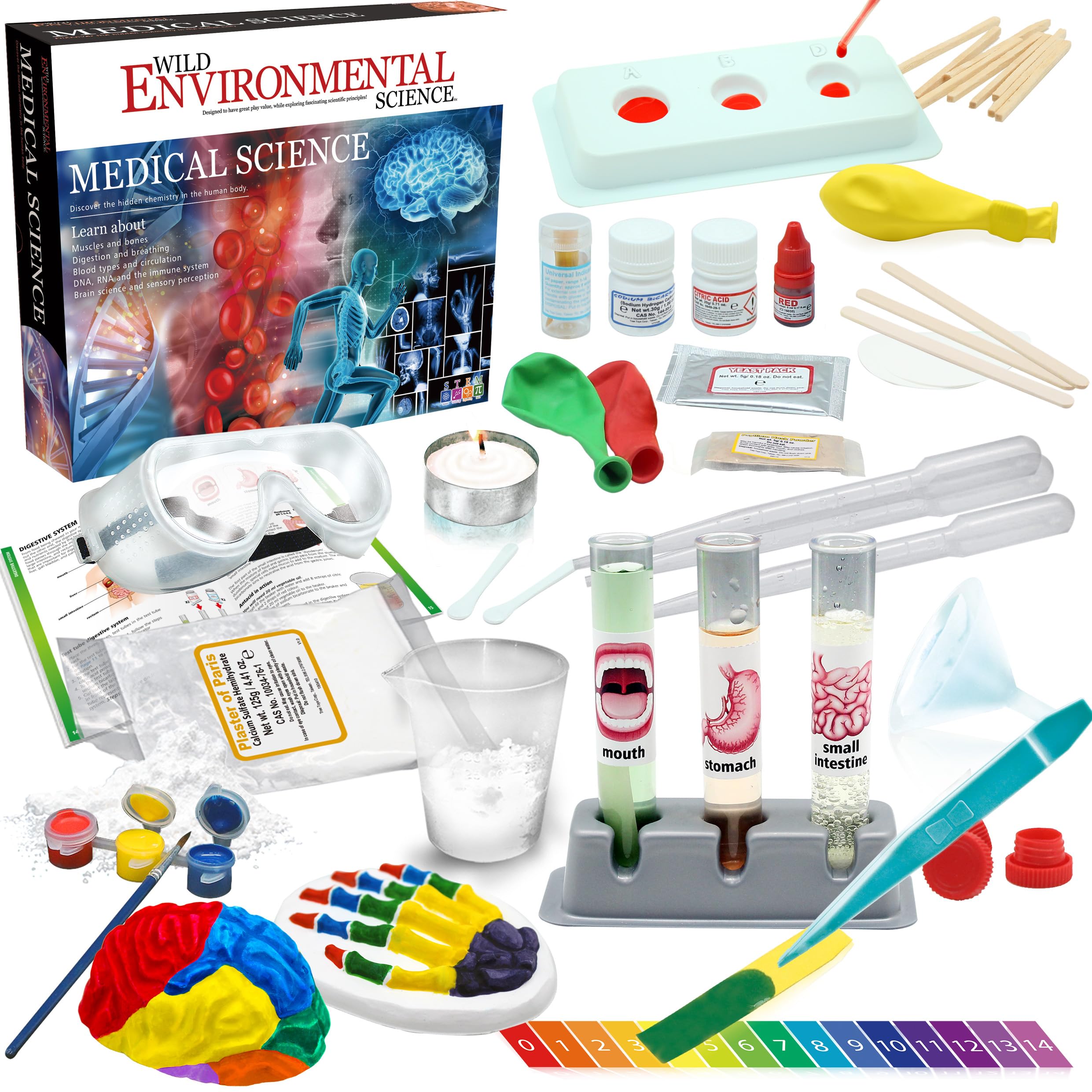 2 Best Environmental Science Kits