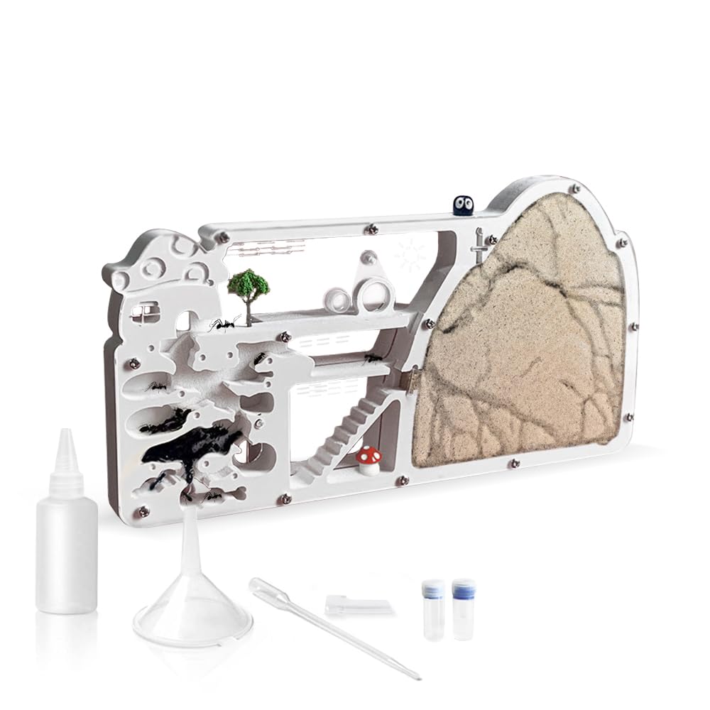 4 Best Ant Farm Sets