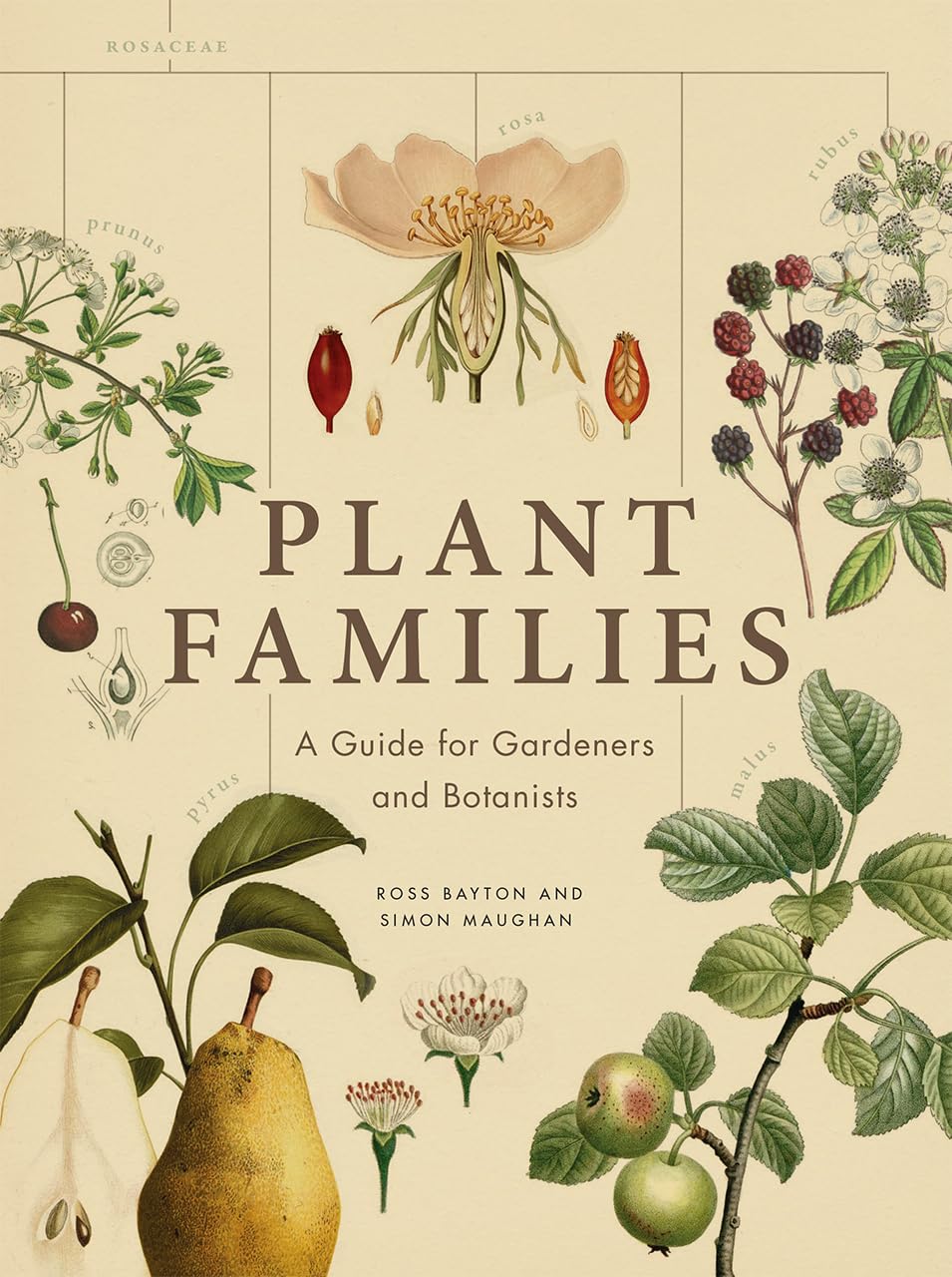 4 Best Botany Handbooks