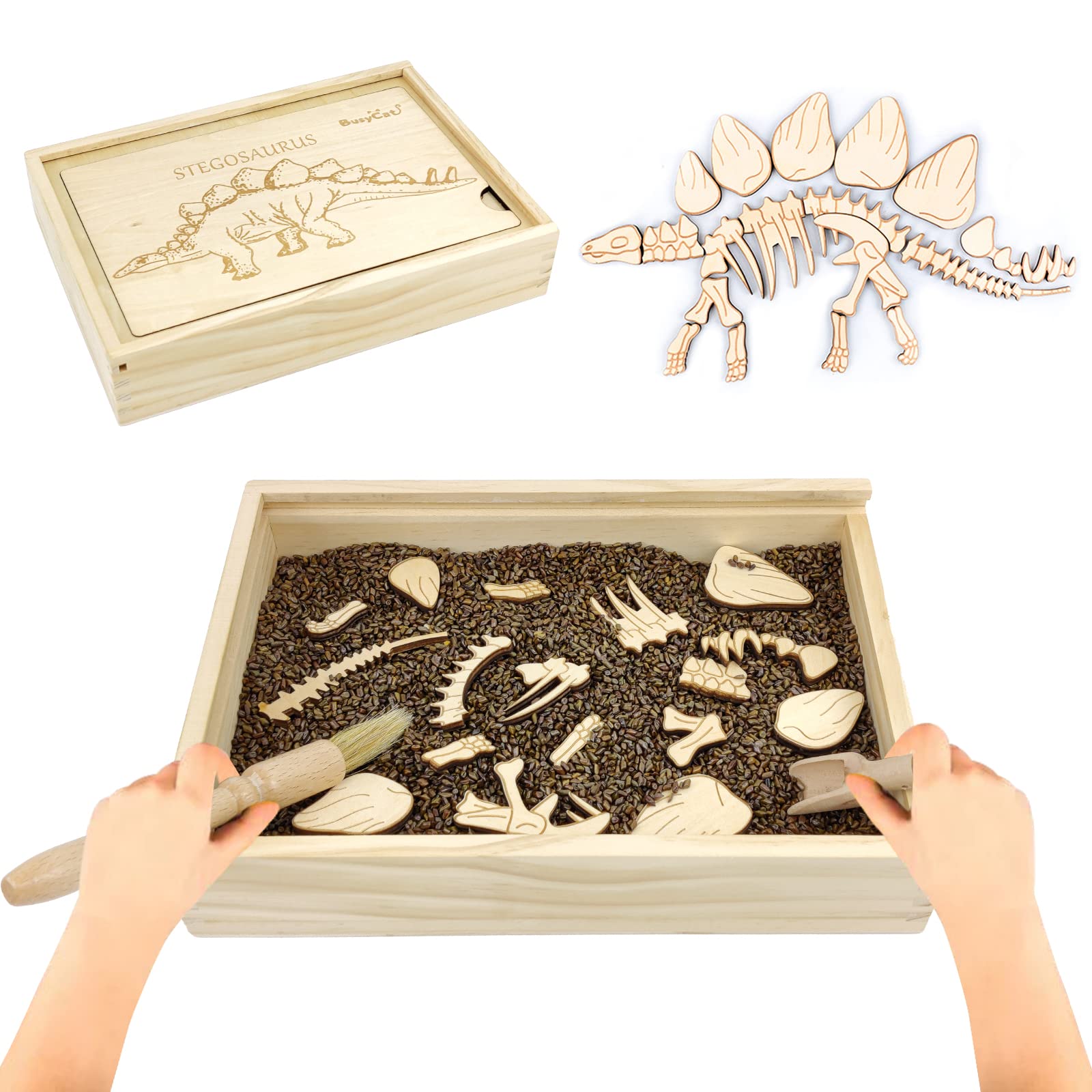 7 Best Archaeology Dig Sets