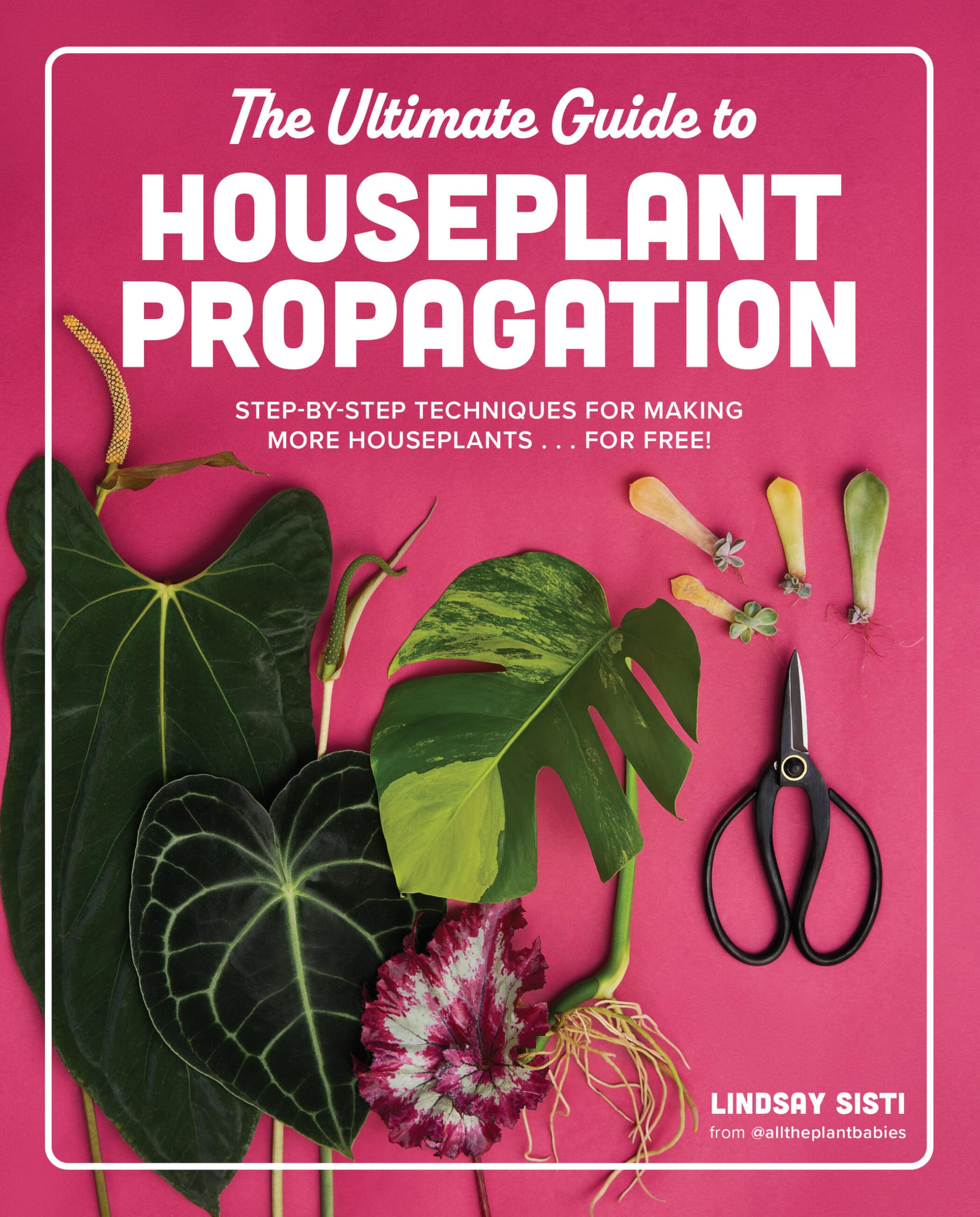 8 Best Botany Handbooks