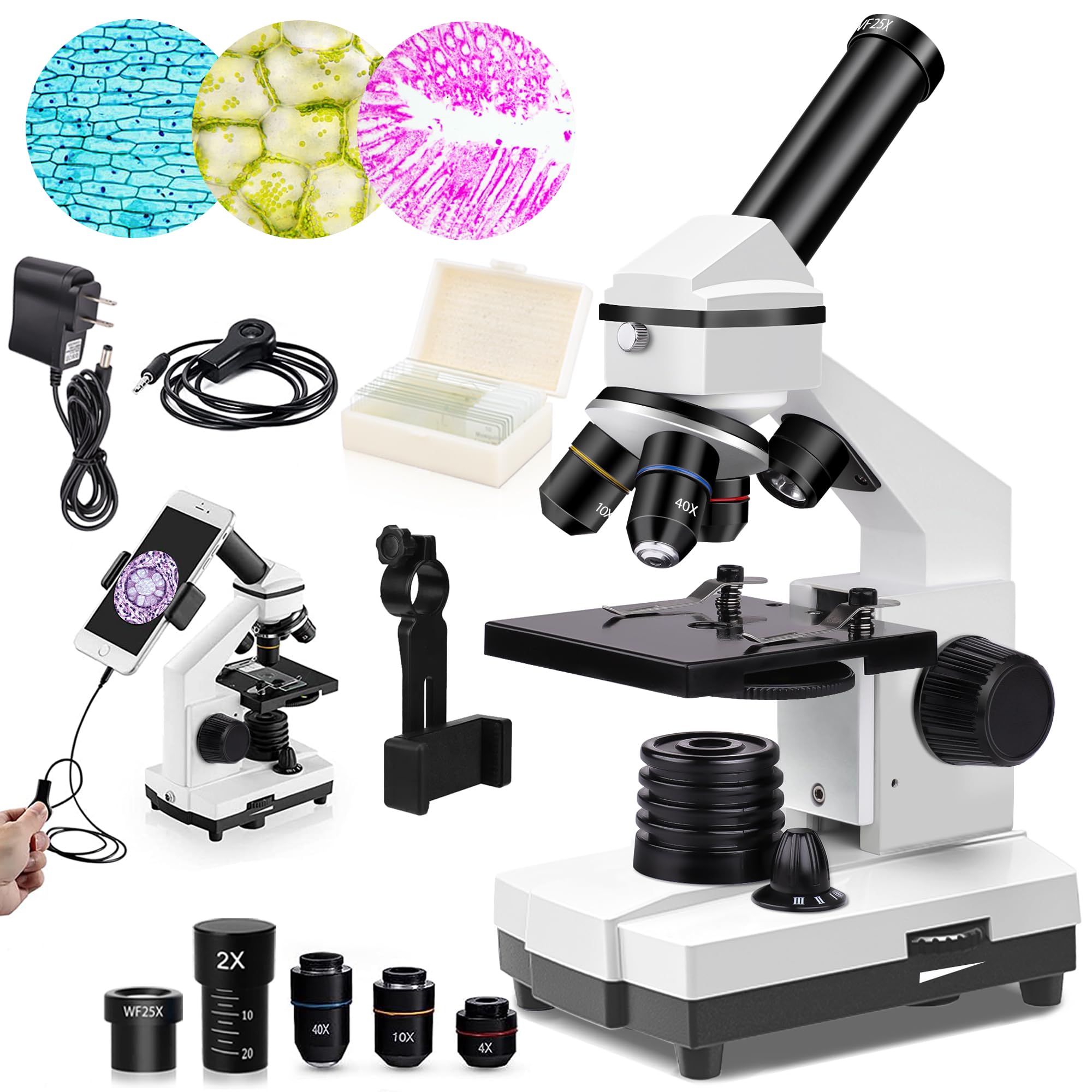1 Best Microscopes For Home Use