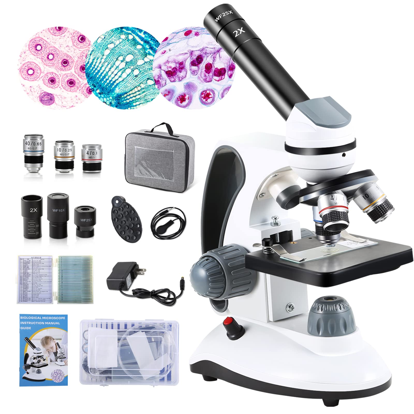 3 Best Microscopes For Students