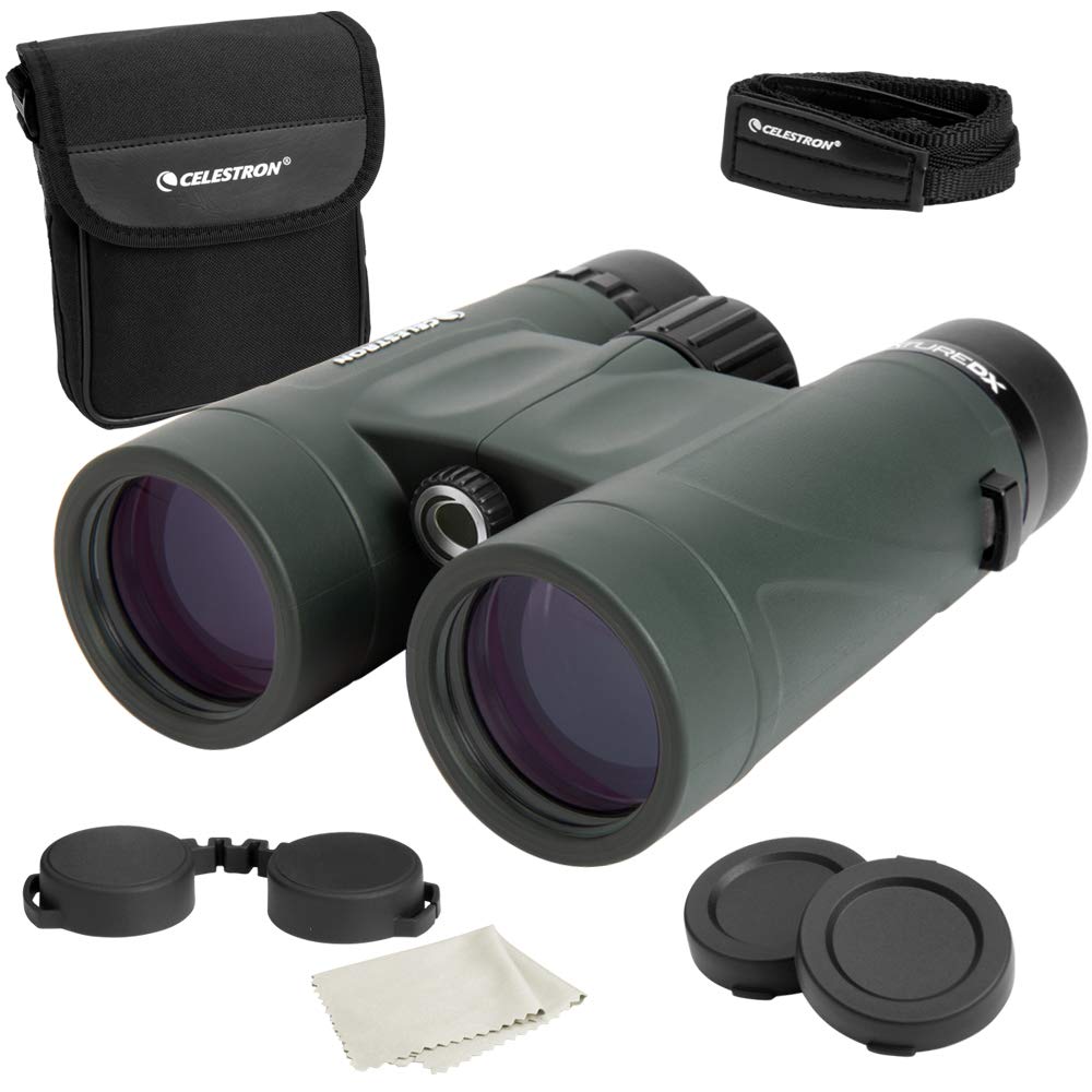 4 Best Binoculars For Stargazing