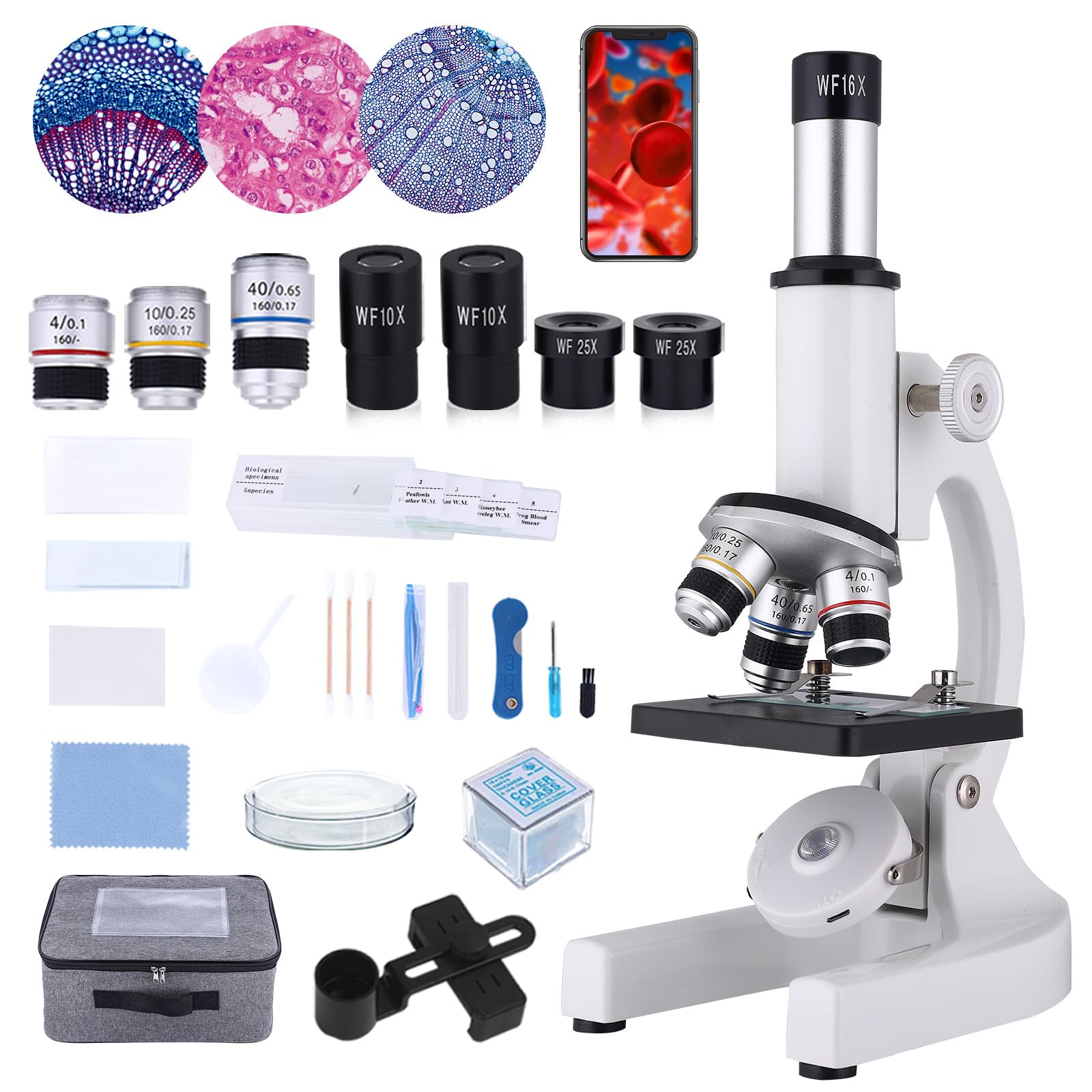 4 Best Microscopes