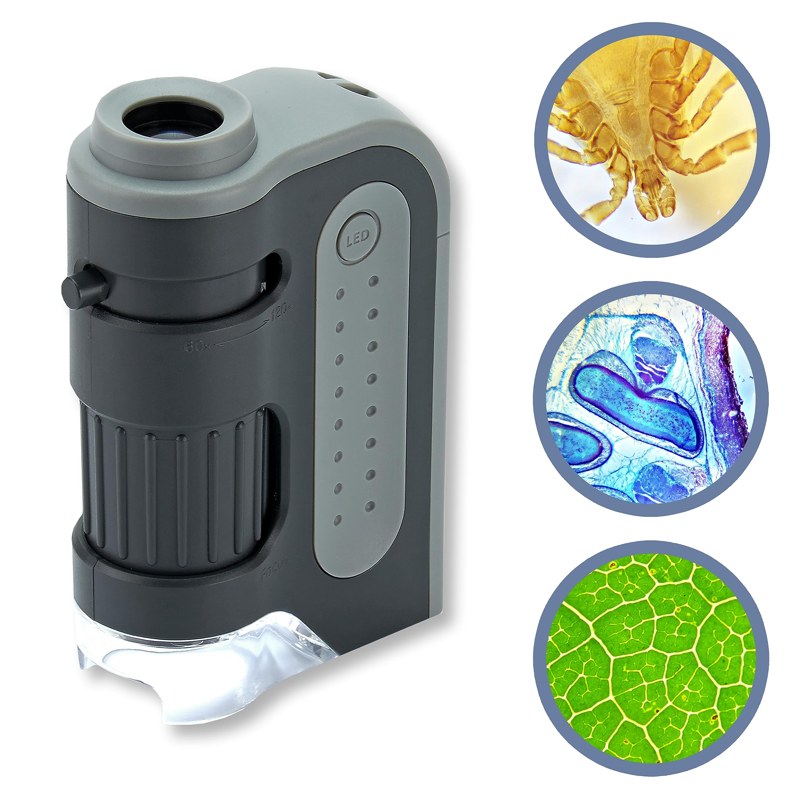 Best Handheld Microscopes