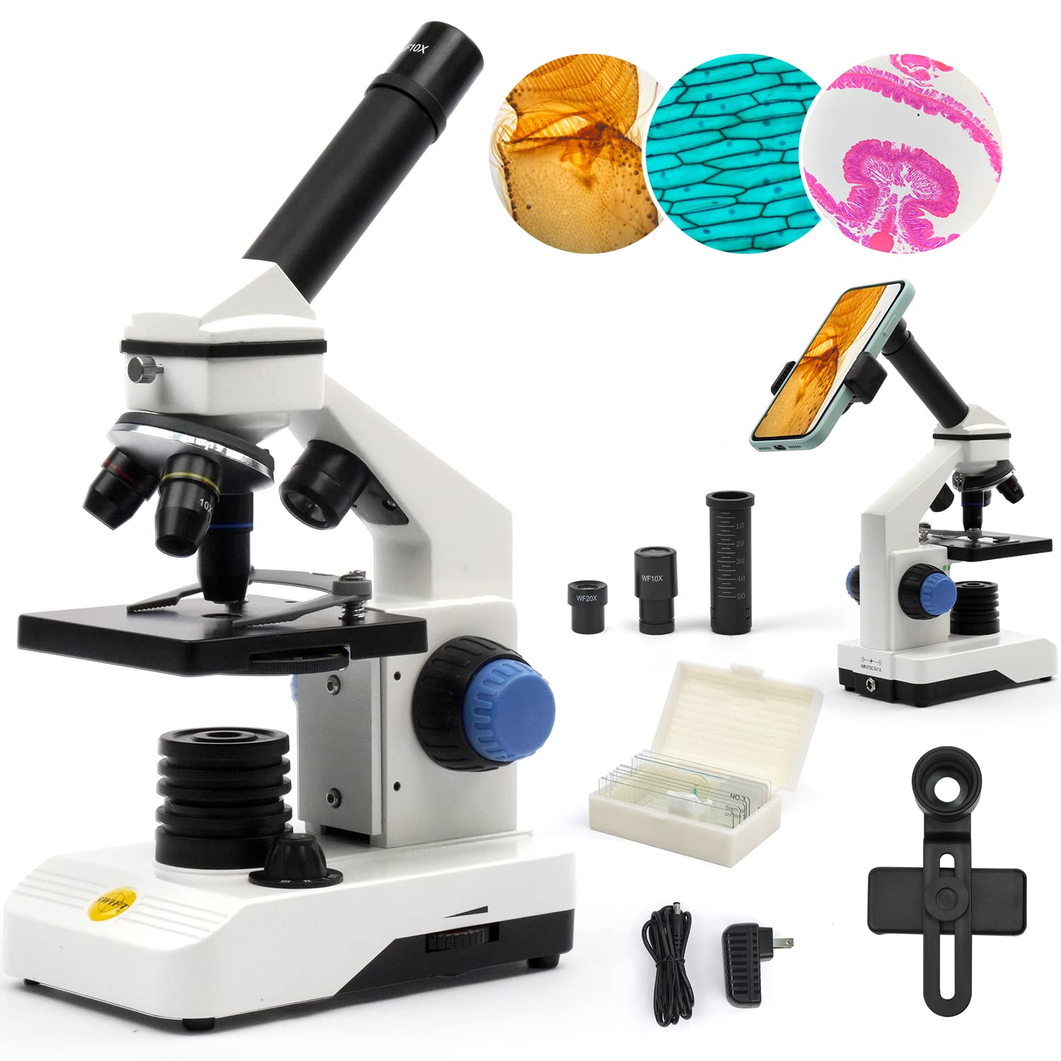 Best Microscopes For Students