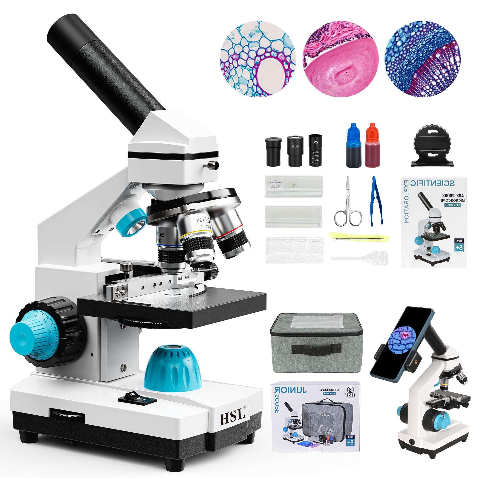 2 Best Microscopes For Viewing Bacteria