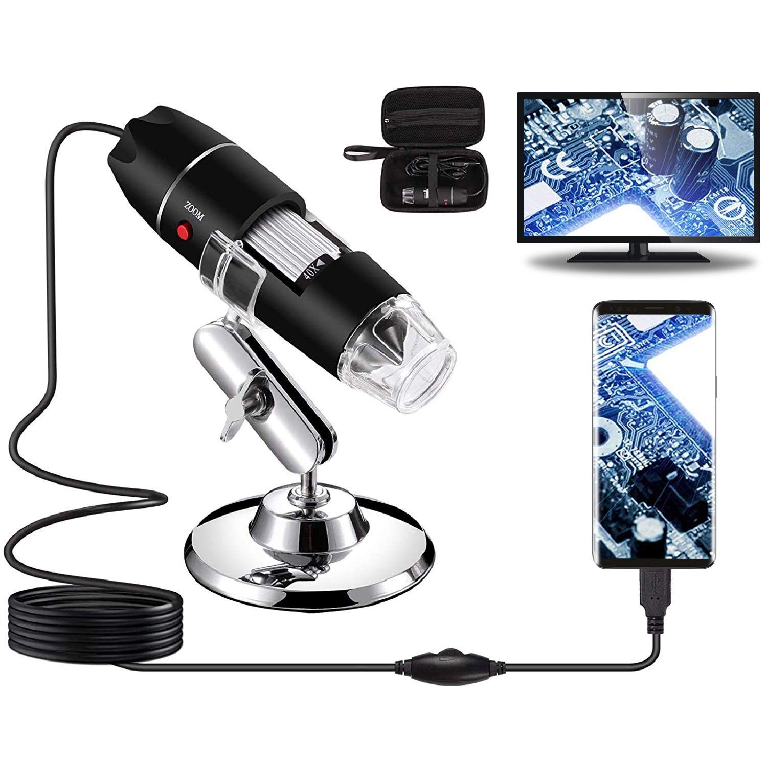 4 Best Microscopes For Viewing Bacteria